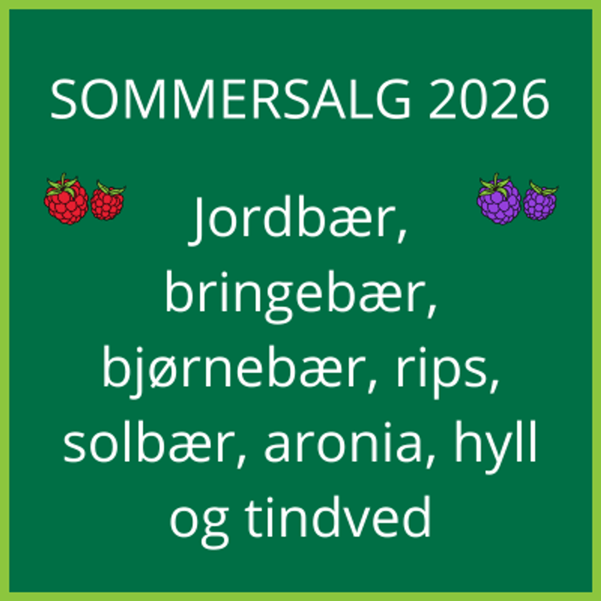 Sommersalg 2026