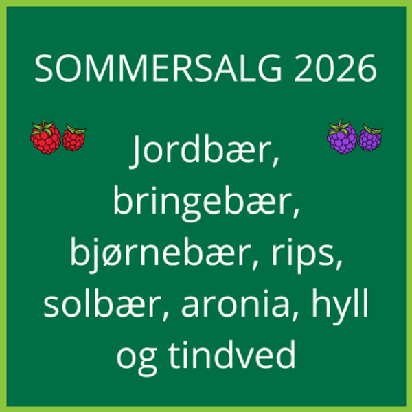 Hovedbilde Sommersalg 2026