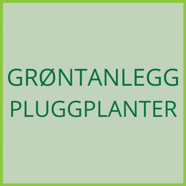 Hovedbilde Grøntanlegg - vevsformert plugg