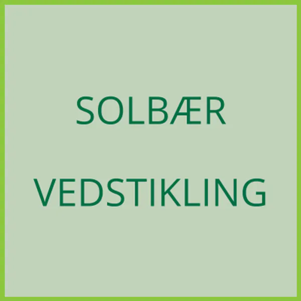 Hovedbilde Solbær, vedstikling - levering 2027