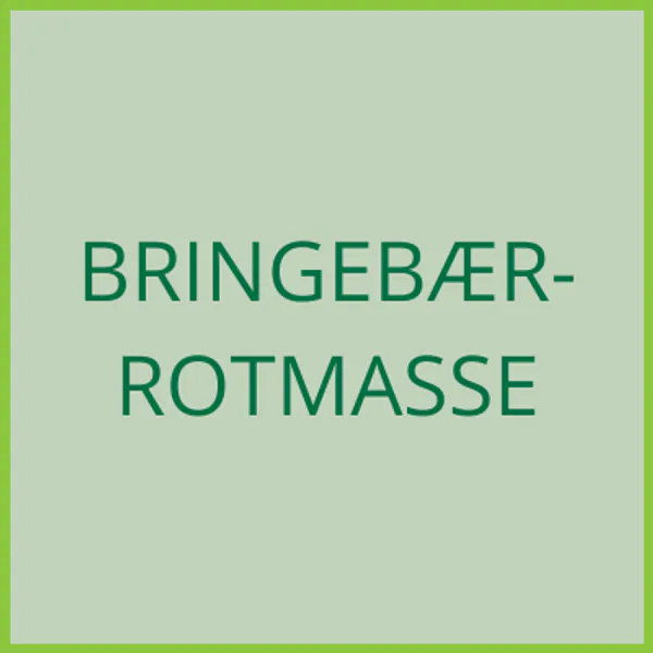 Hovedbilde Bringebærrotmasse - levering 2028